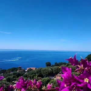 villa-azur-cap-dail.fr-provencehotel.com/